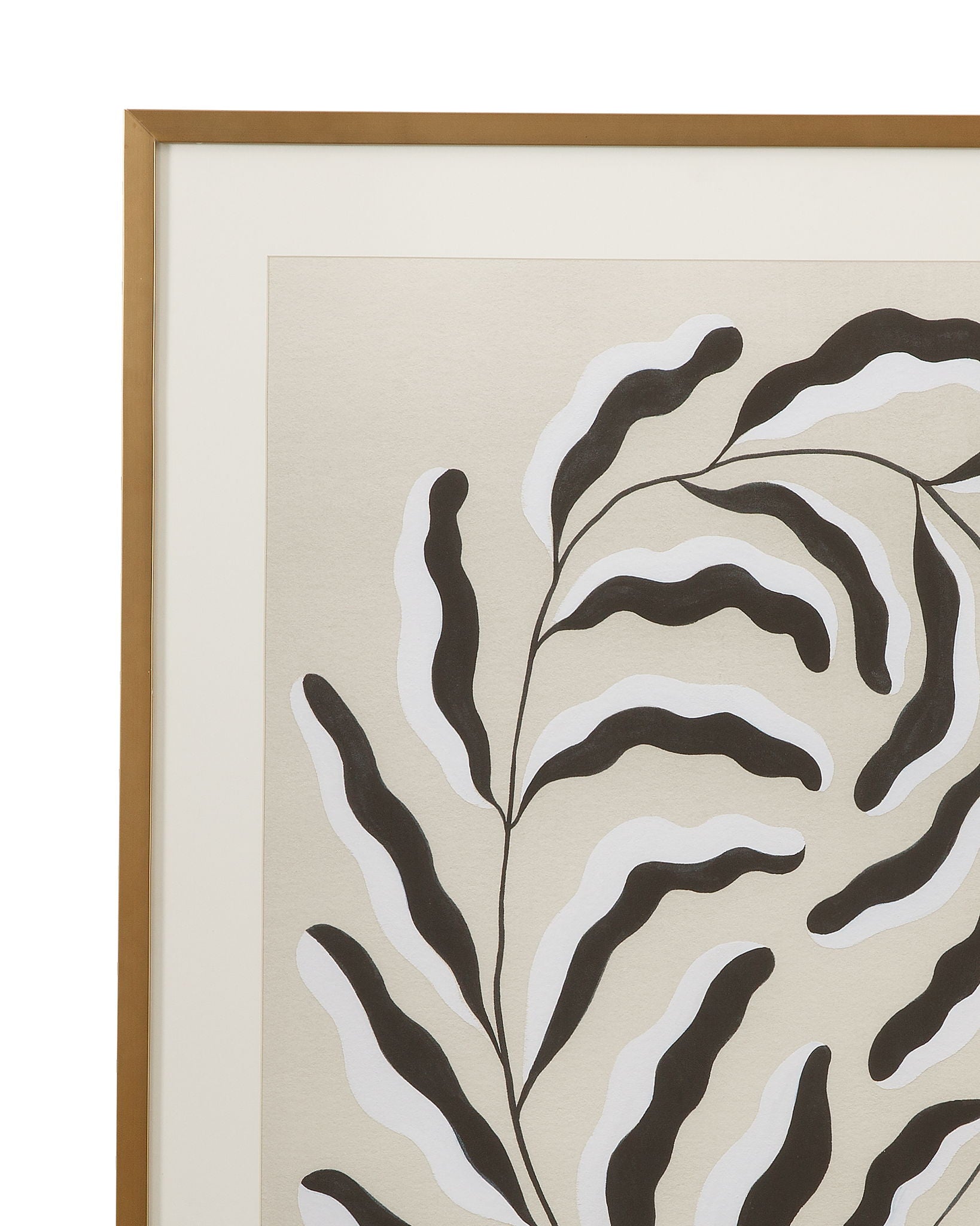Emerging Weeds Framed Print (Set of 2) - Gray