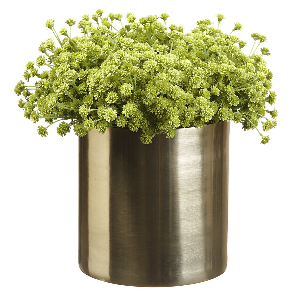 Baby'S Breath In 5H5"D Cylinder Green