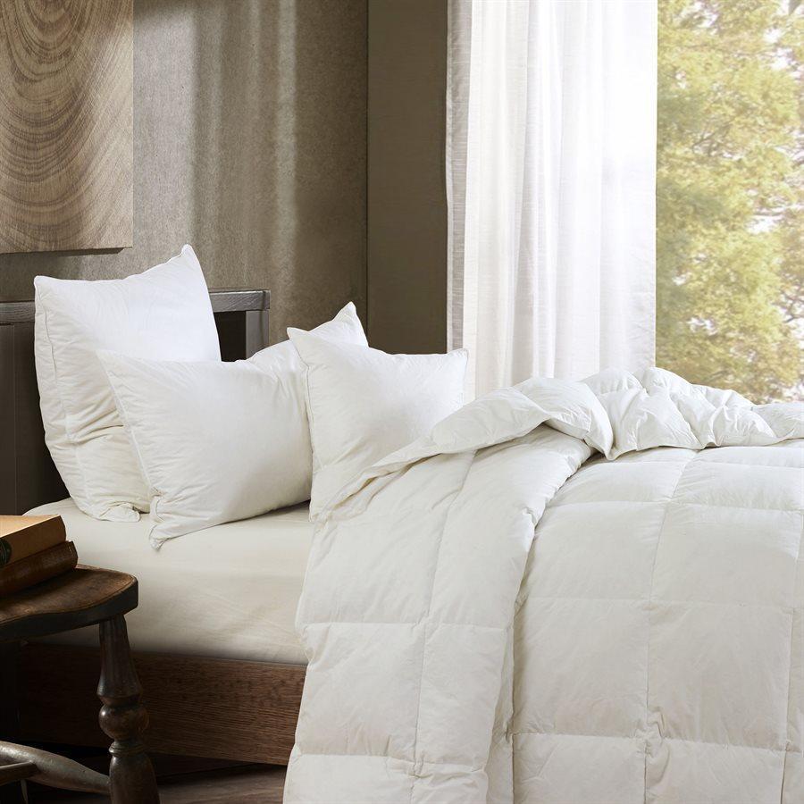 Feather & Down Square Pillow Insert - Standard