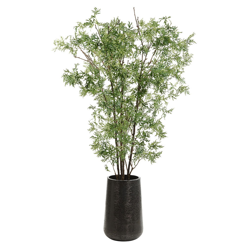 Ming Aralia In Textured Metal Planter Green