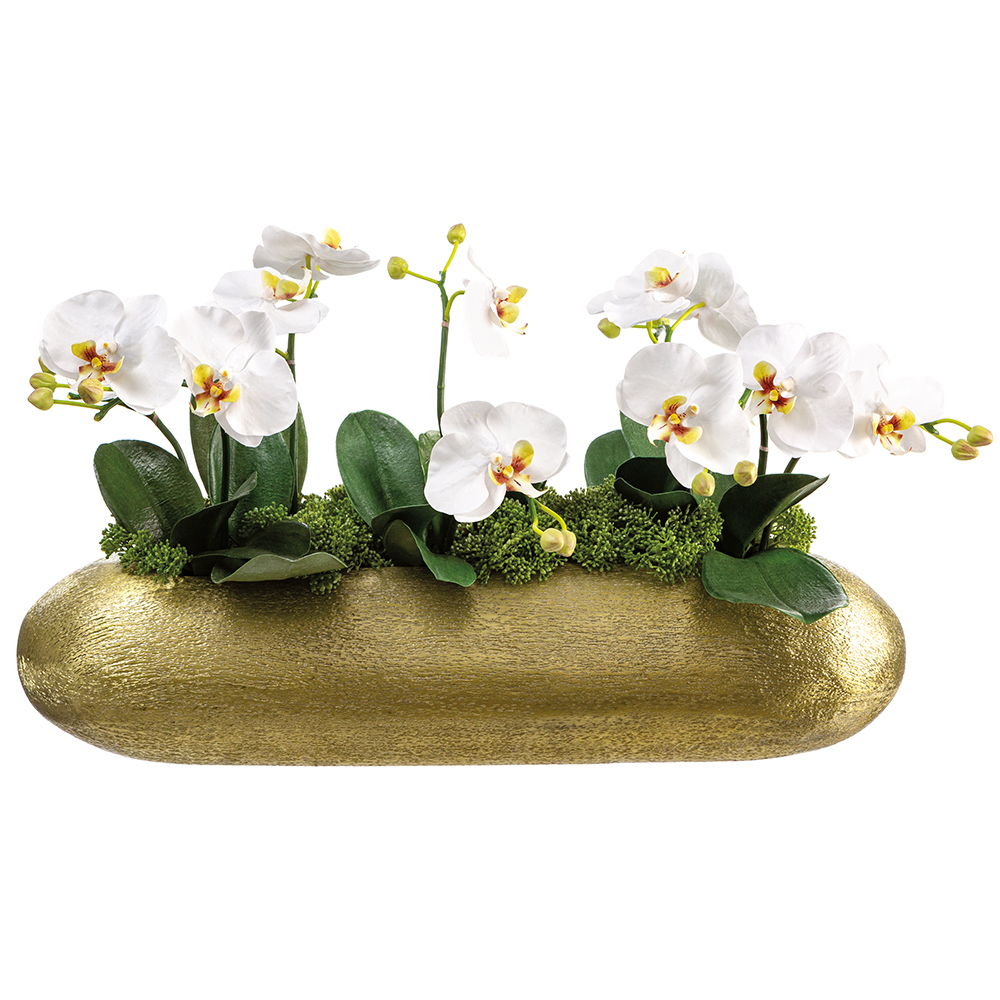 Phalaenopsis in Long Aluminum Vase White Green