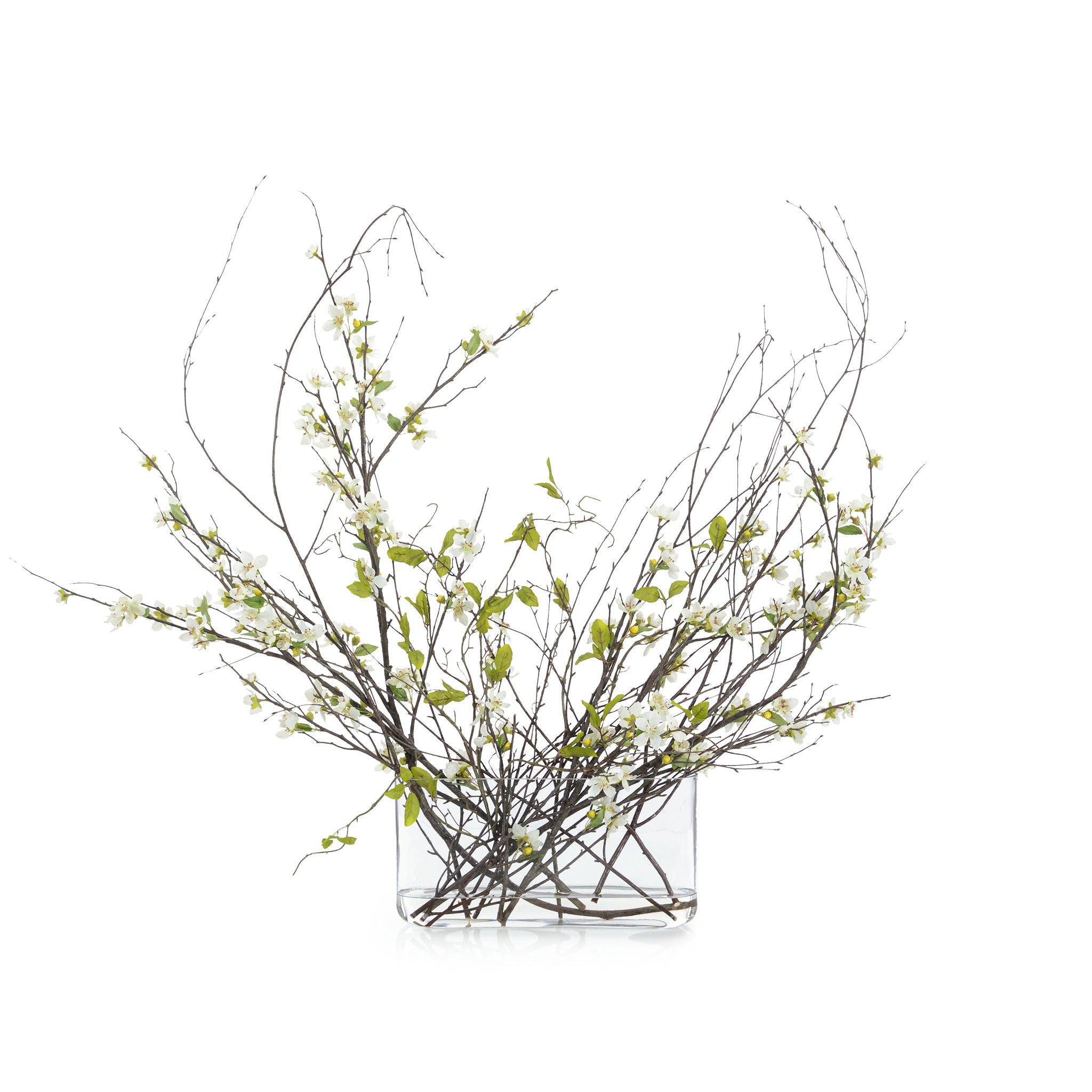 Swirling Branches