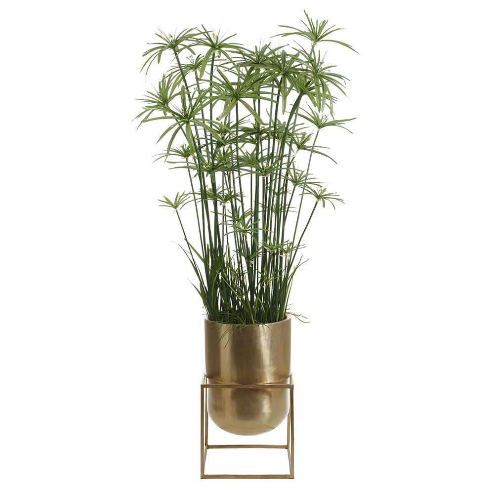 Cypress Grass Tree In 30"Hx18"Wx18"L Matte Planter With Stand Green