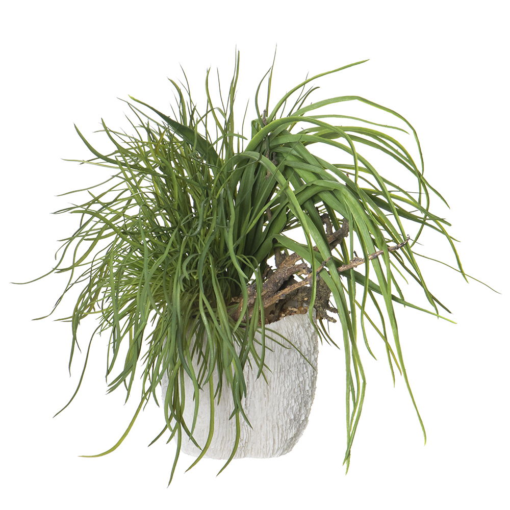 Mixed Grass/Driftwood in Coral Vase Green Brown