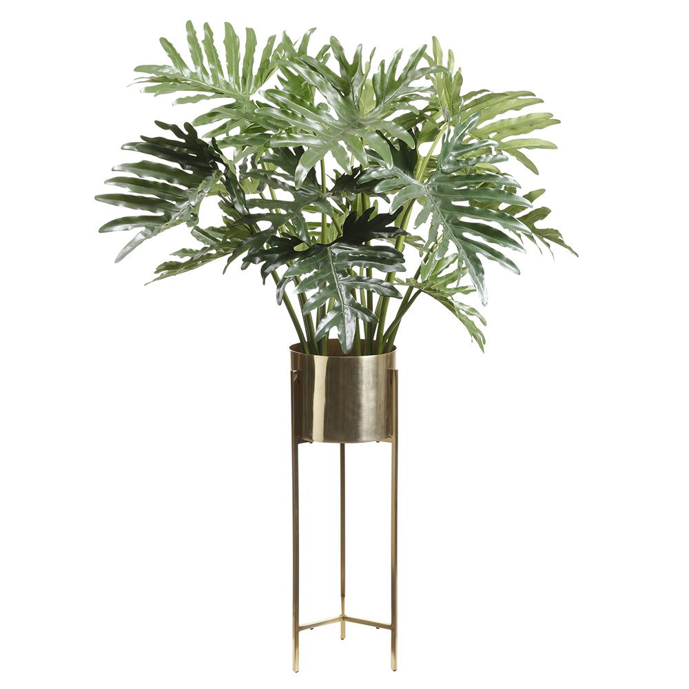 Selloum Philo Plant In Brass Planter With Stand Green