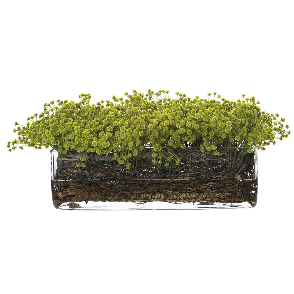 Baby's Breath/Twig in Glass Vase Green Light