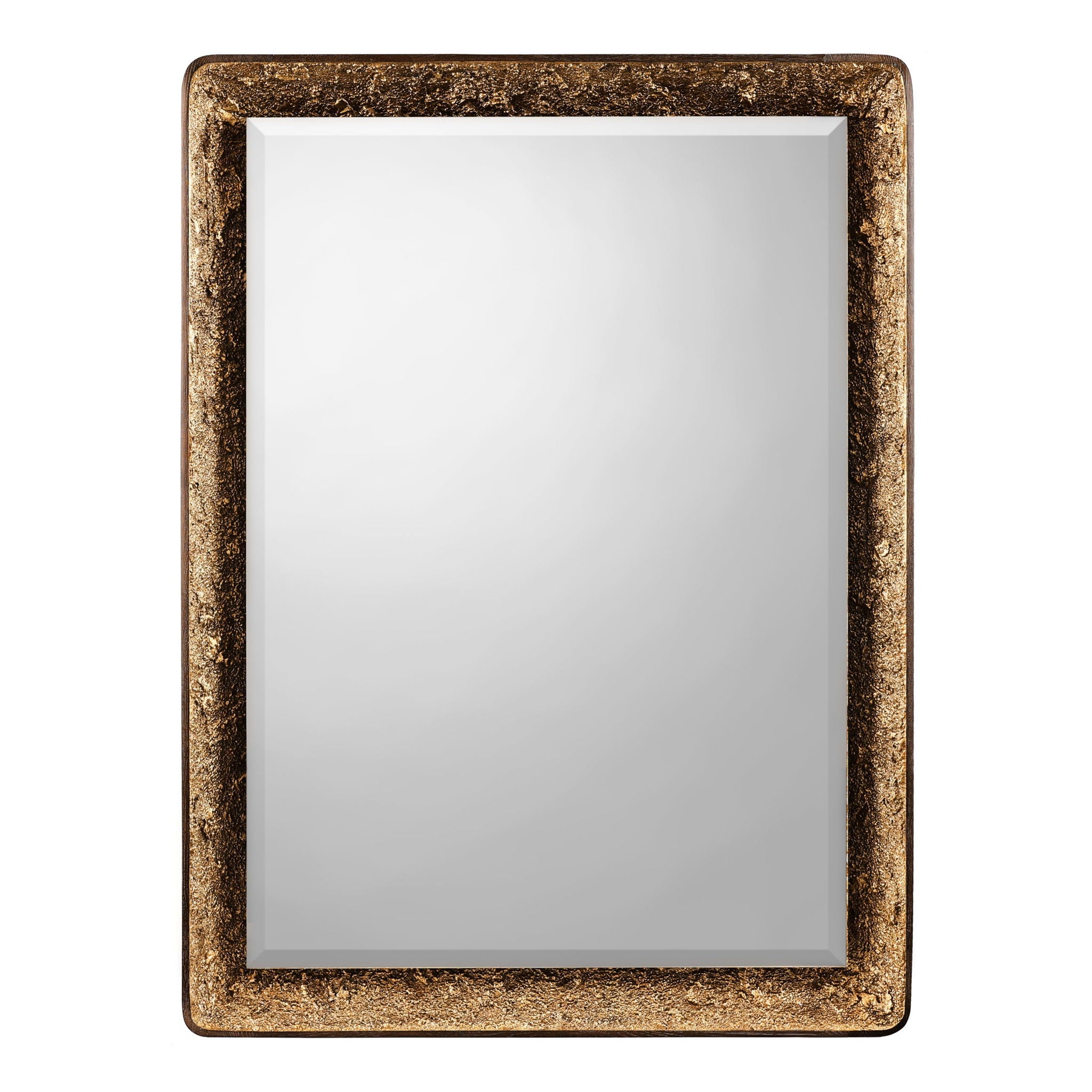 Gilded Oak Lighted Mirror, Rectangular