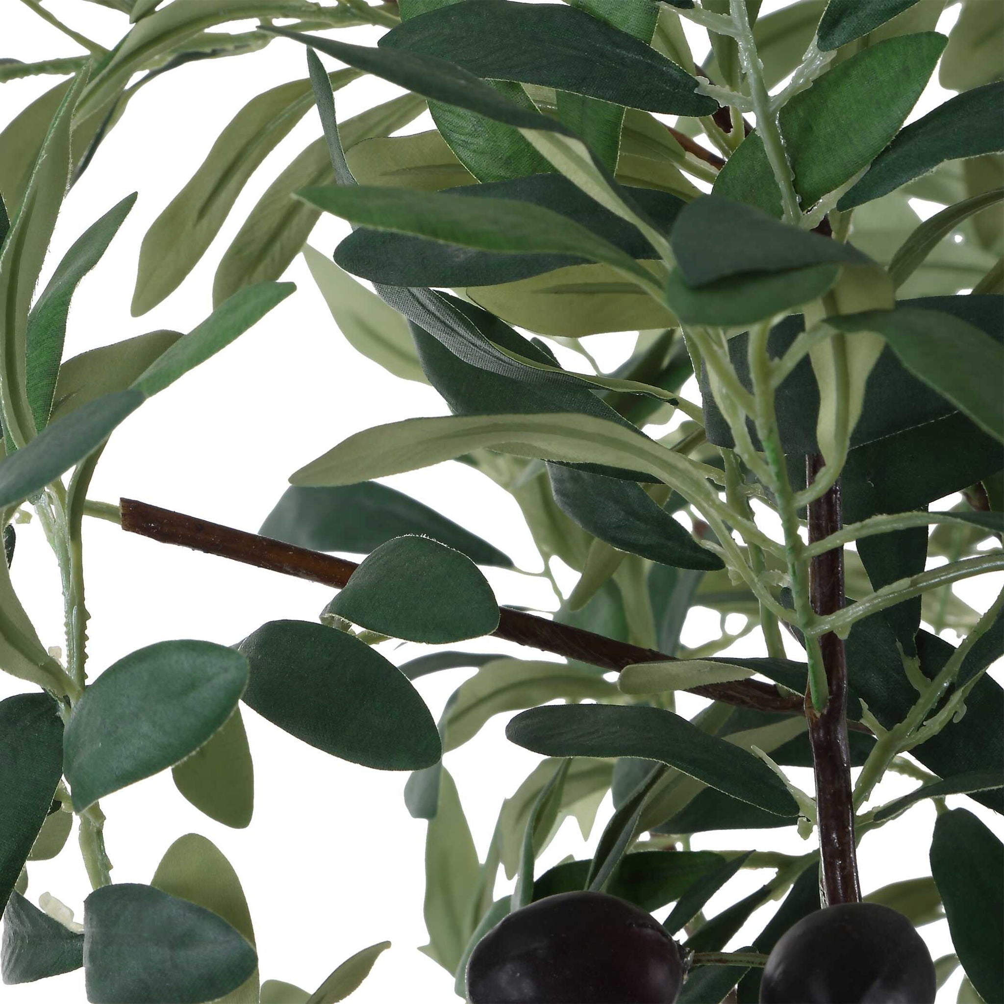 Sonora Olive - Tree In Planter - Gray / Green