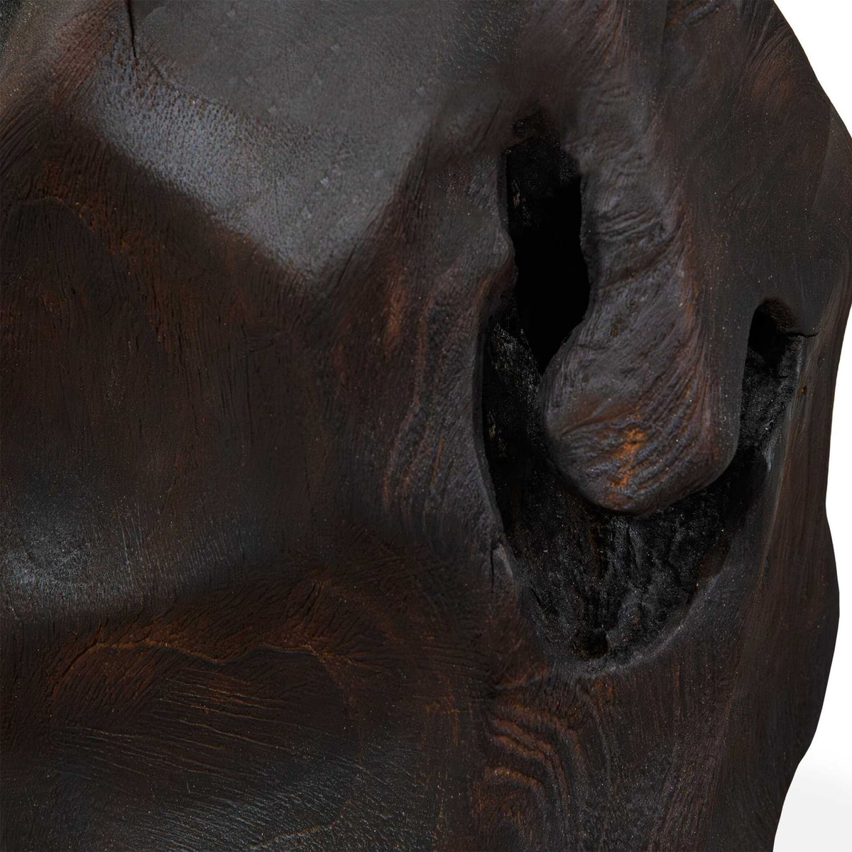Ember Root - Teak Sculpture (Set of 2) - Black
