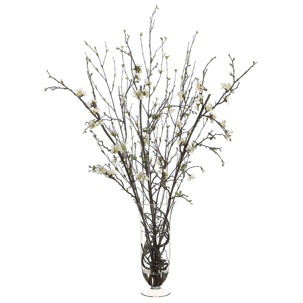 Quince Blossom/Twig in Glass Vase Cream