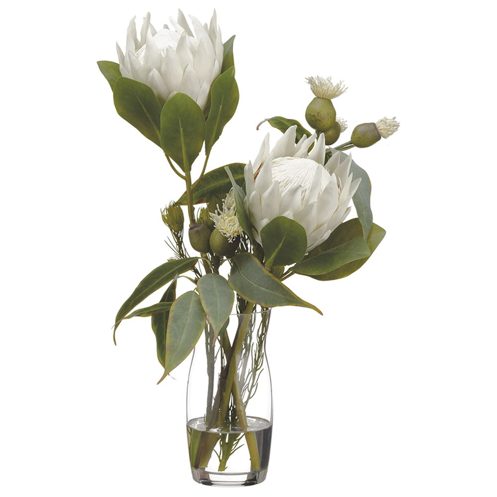 Protea/Eucalyptus/Wolly in Vase Cream