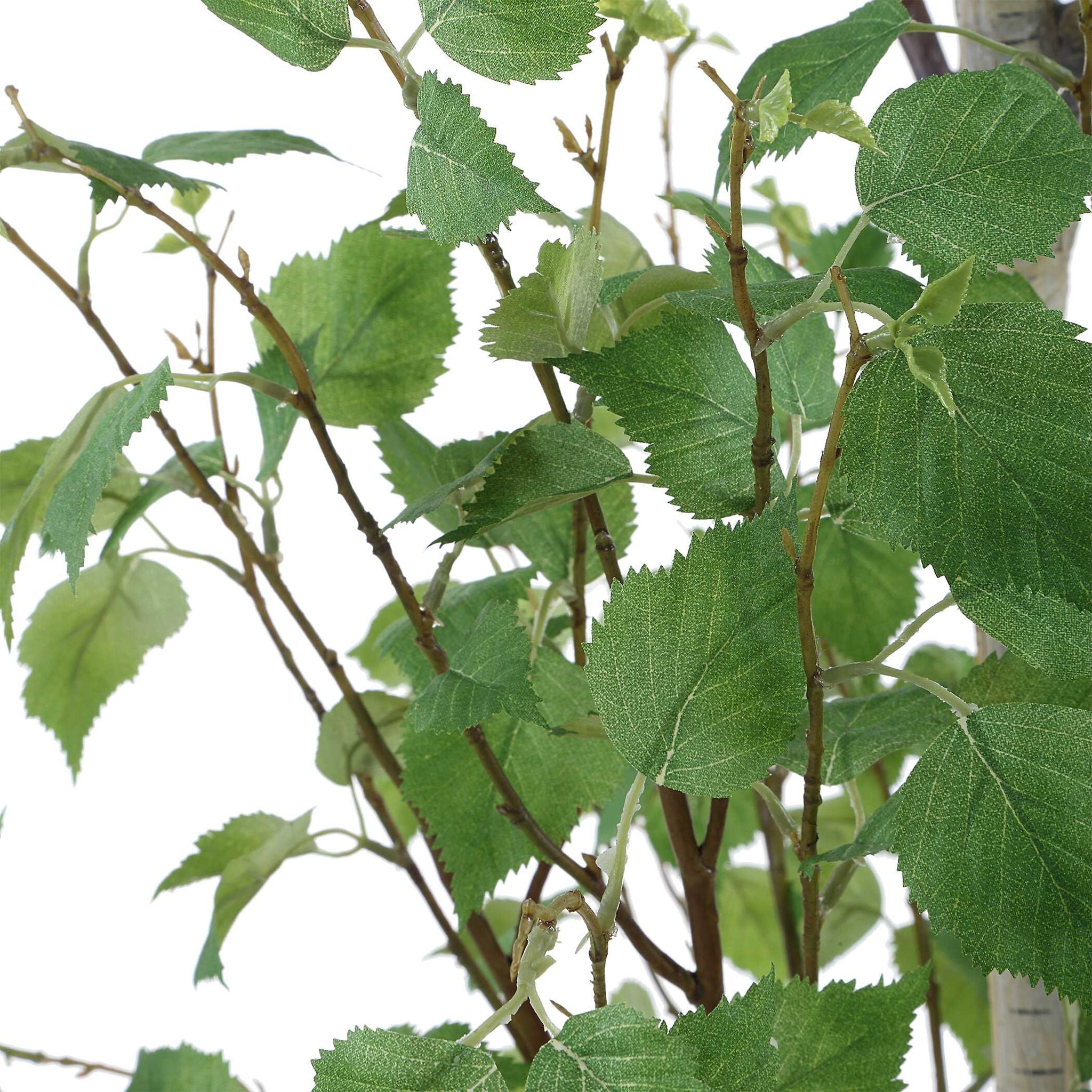 Boreal - Potted Birch Tree - Gray / Green