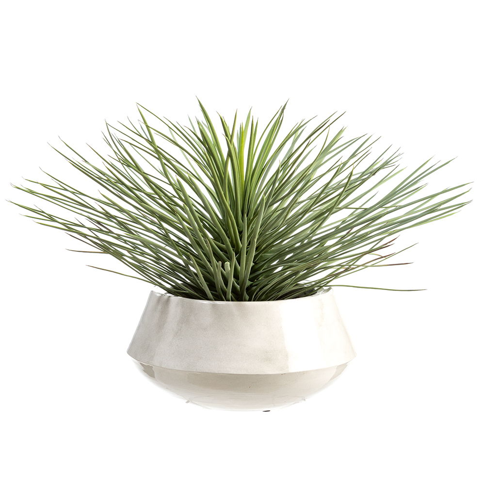 Whipple Yucca Plant in Iron Planter Green Flocked