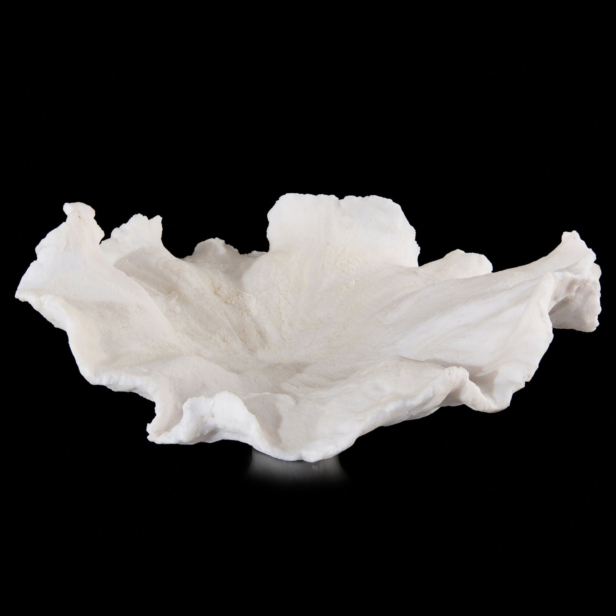 Floating Wave Bowl