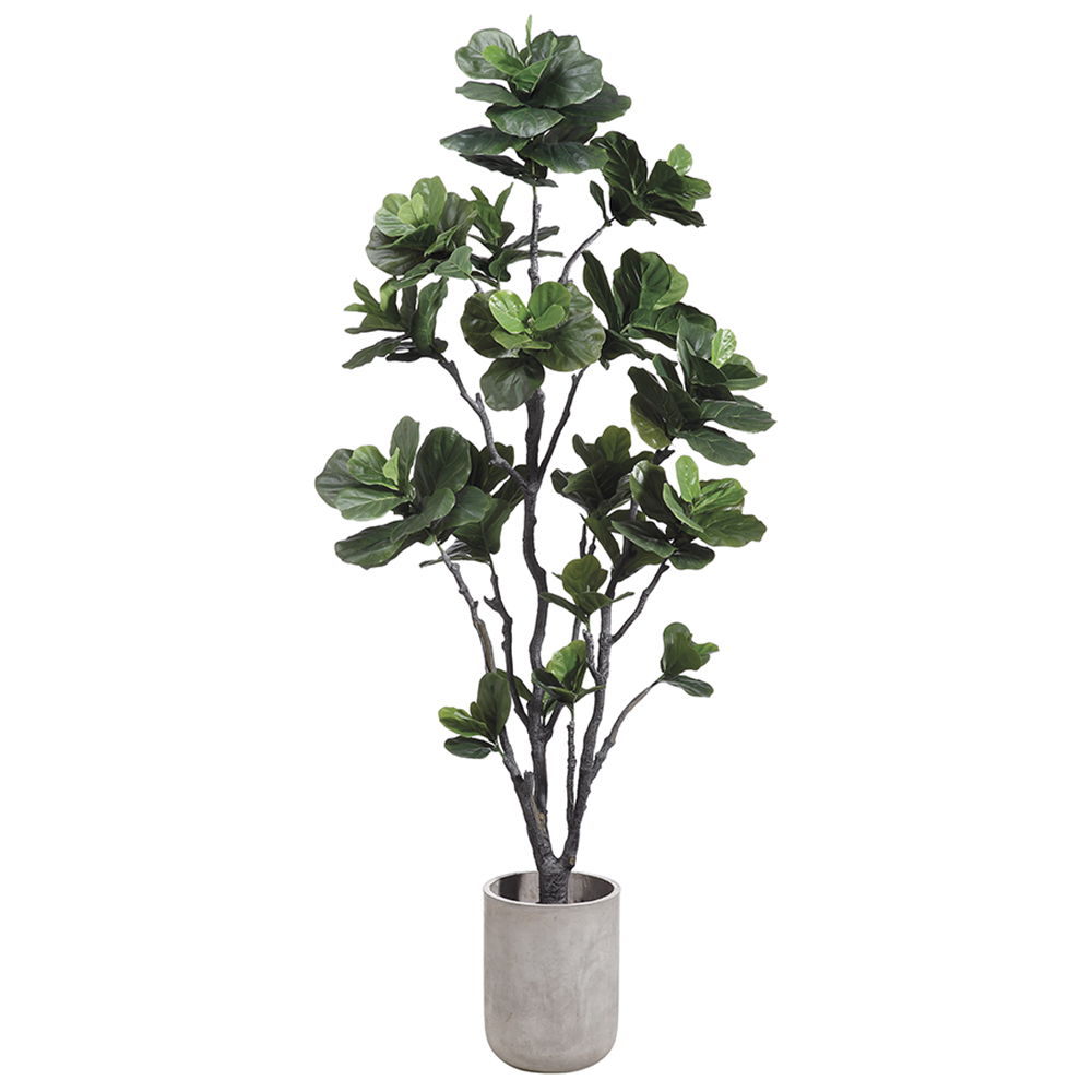 Fiddle Leaf Tree in Fiber Cement Planter Green