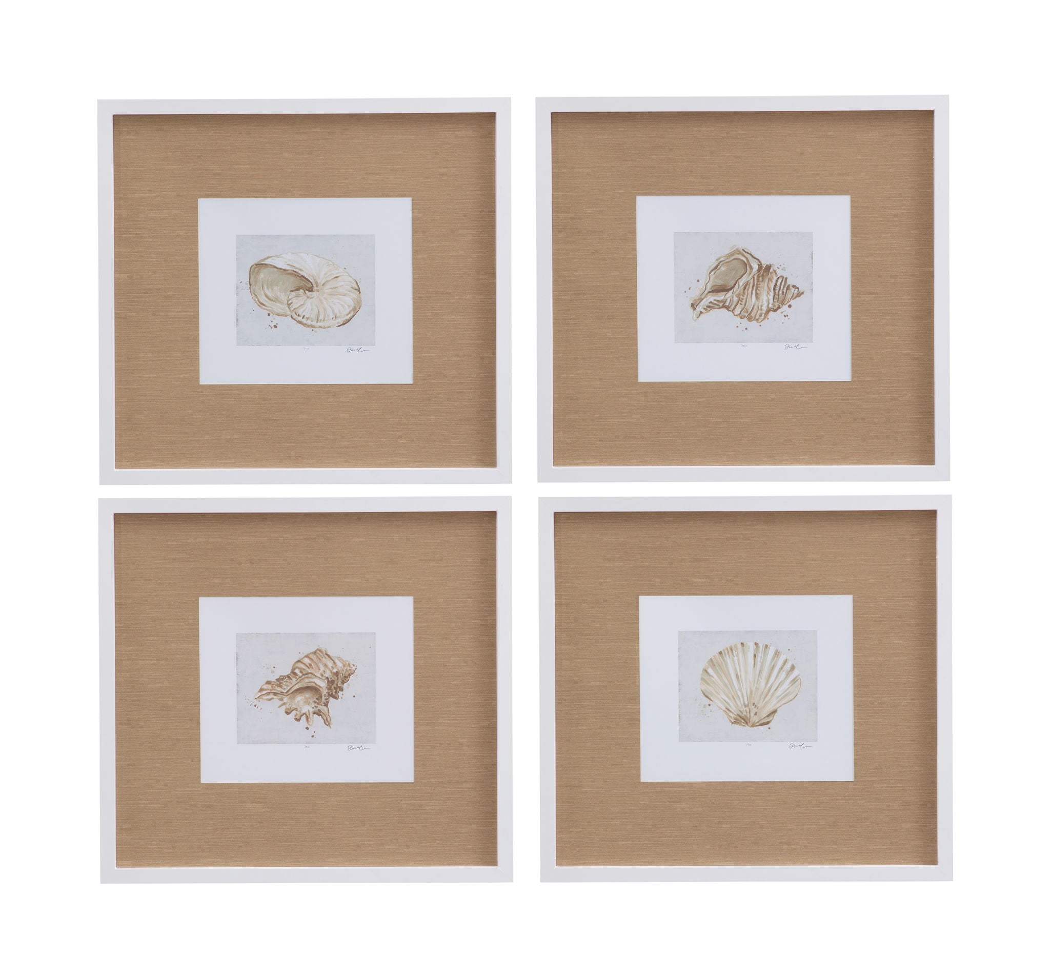 Neutral Shell Fresco I Framed Print - Light Brown / White