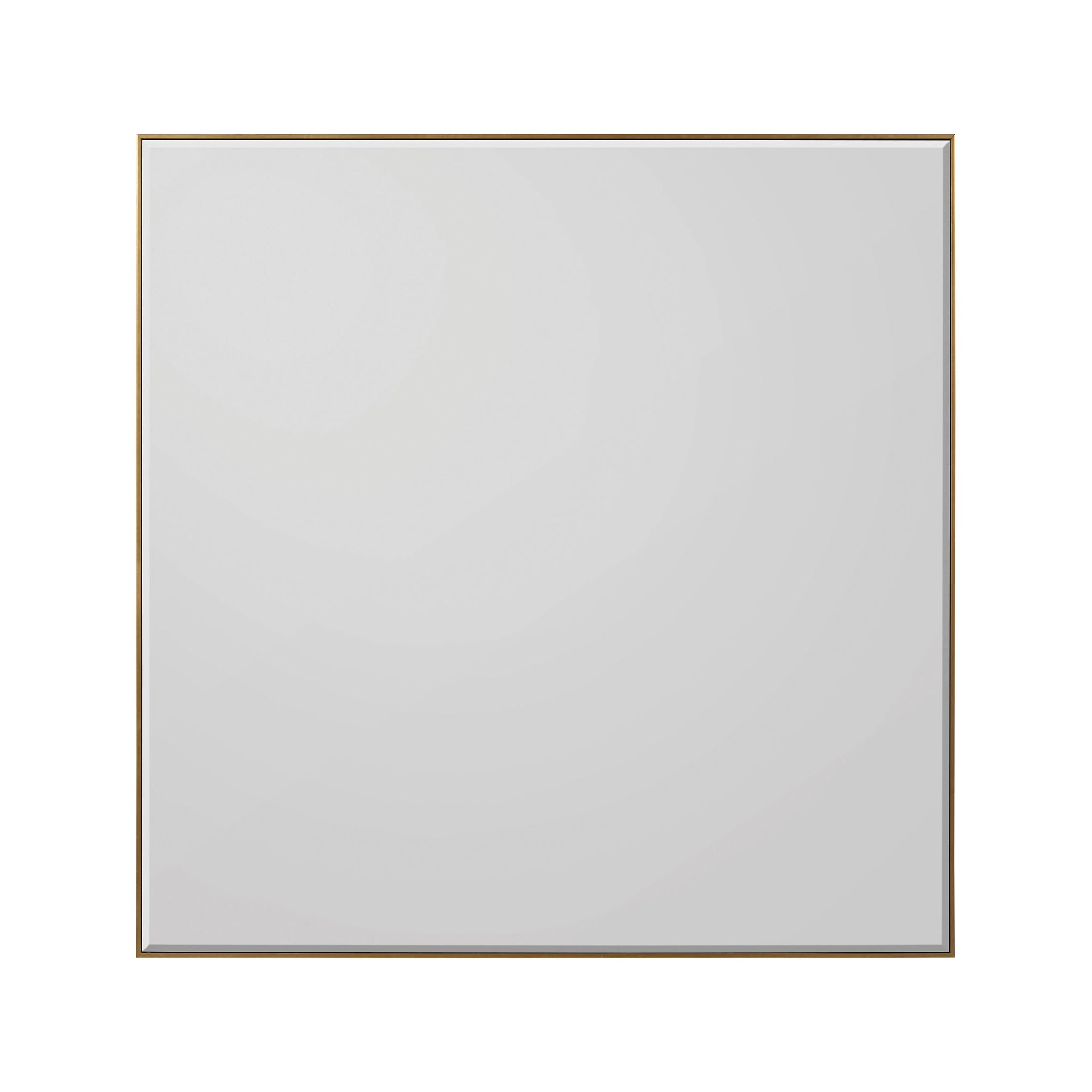 Rochester Mirror