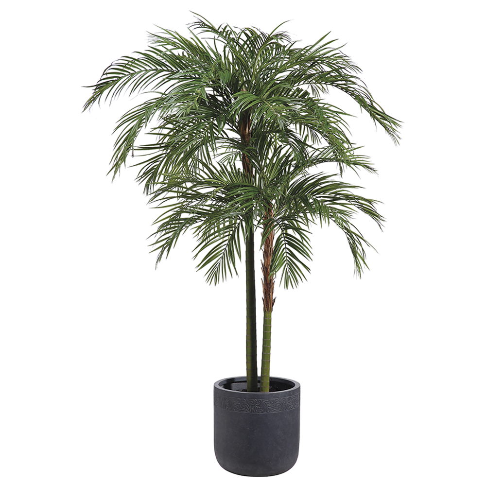 Areca Palm Tree in Fiber Clay Planter Green