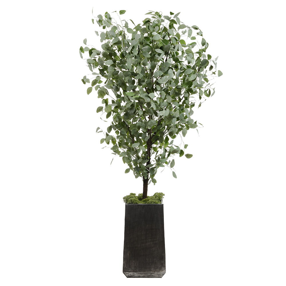 Eucalyptus Tree In 28.35"Hx16"Wx16"L Planter Green
