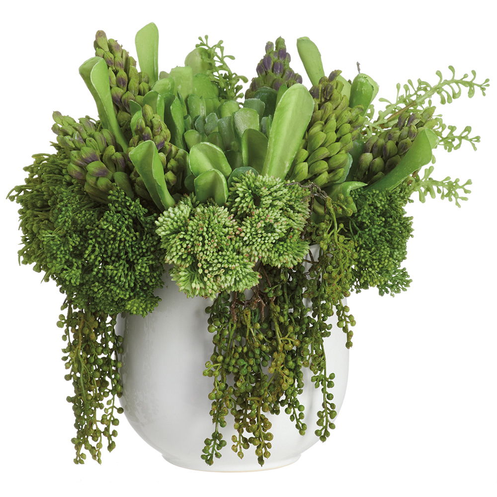 Mixed Succulents in Ceramic Vase Green