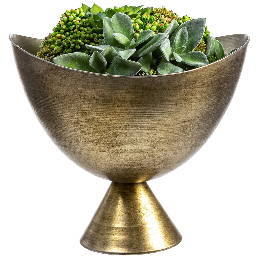 Succulent/Sedum Mix in Footed Metal Vase Green