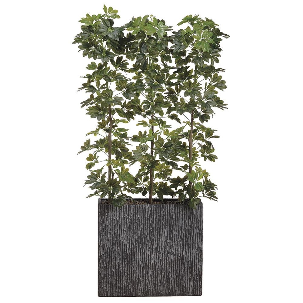 EVA Schefflera Wall Divider Green