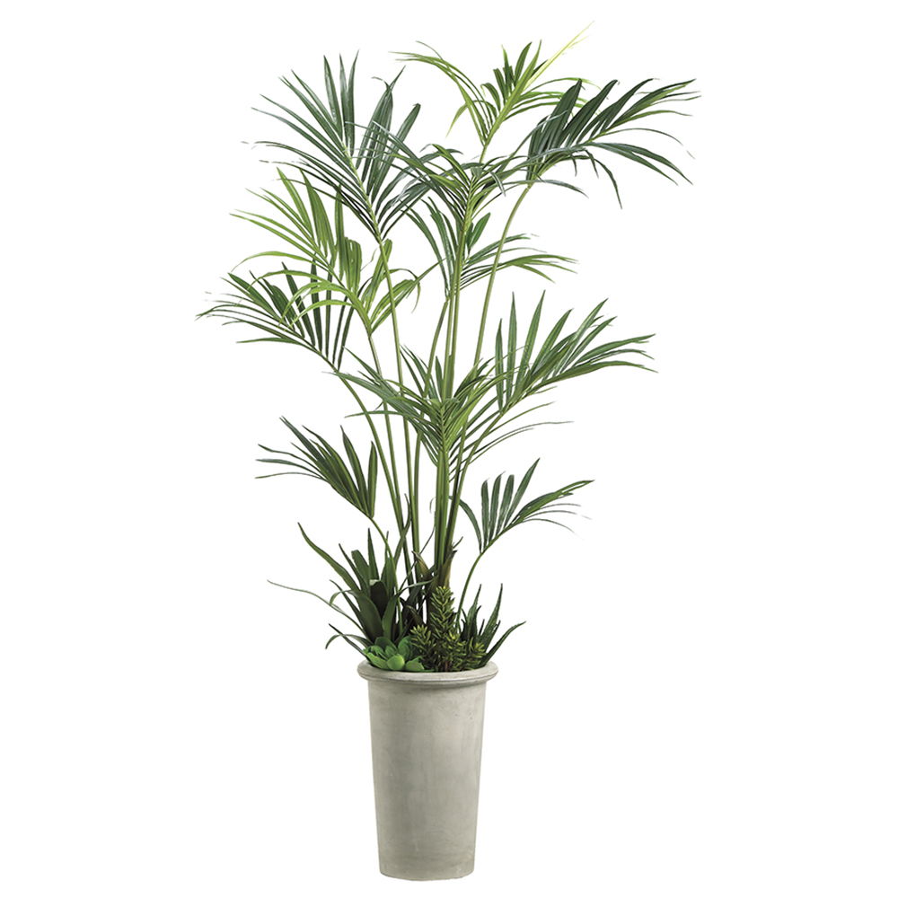 Kentia Palm with Succulent in Fiber Cement Planter Green