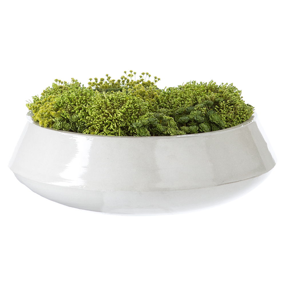 Sedum/Baby's Breath/Berry Head in Planter Green