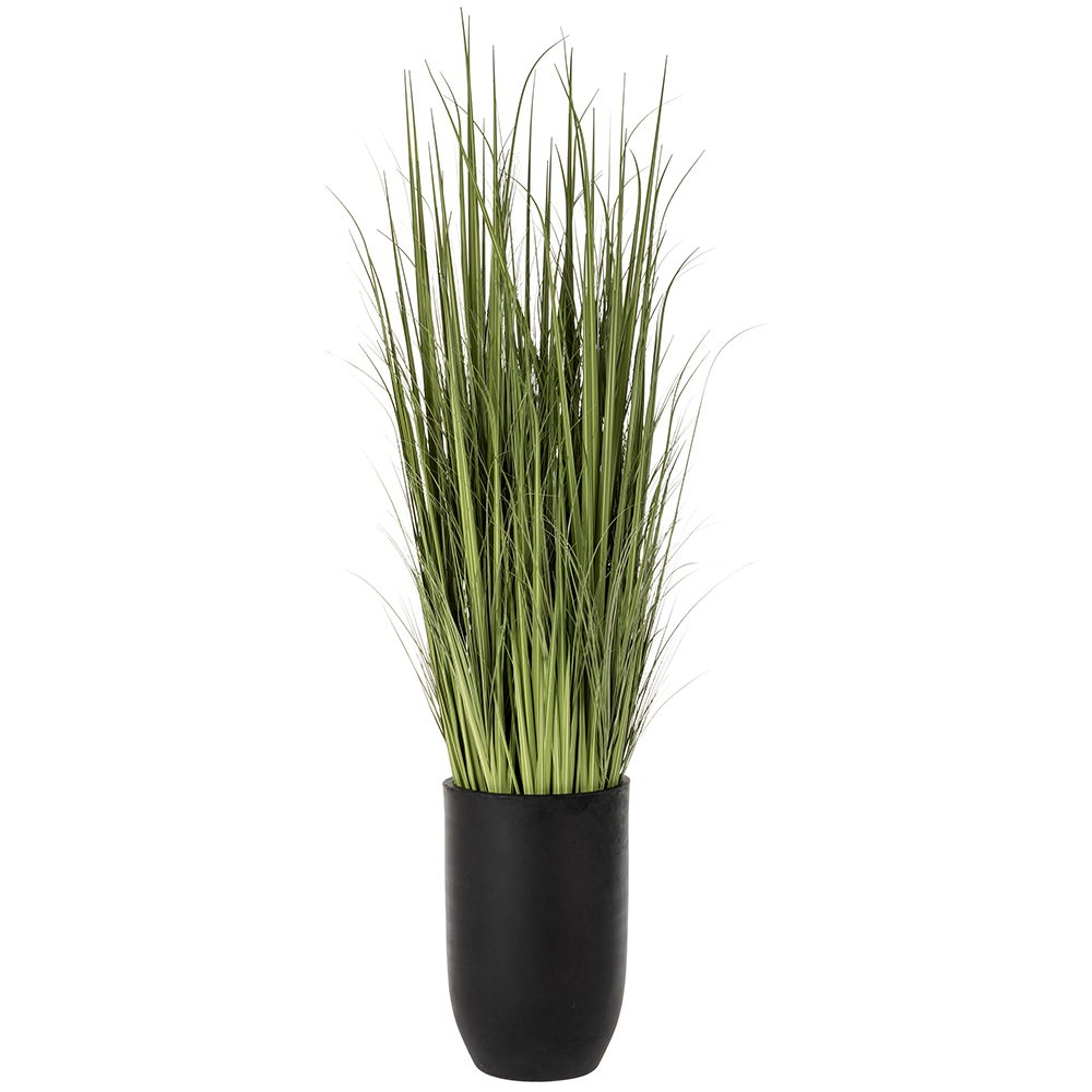 Wild Grass in Black Cement Planter Green Light