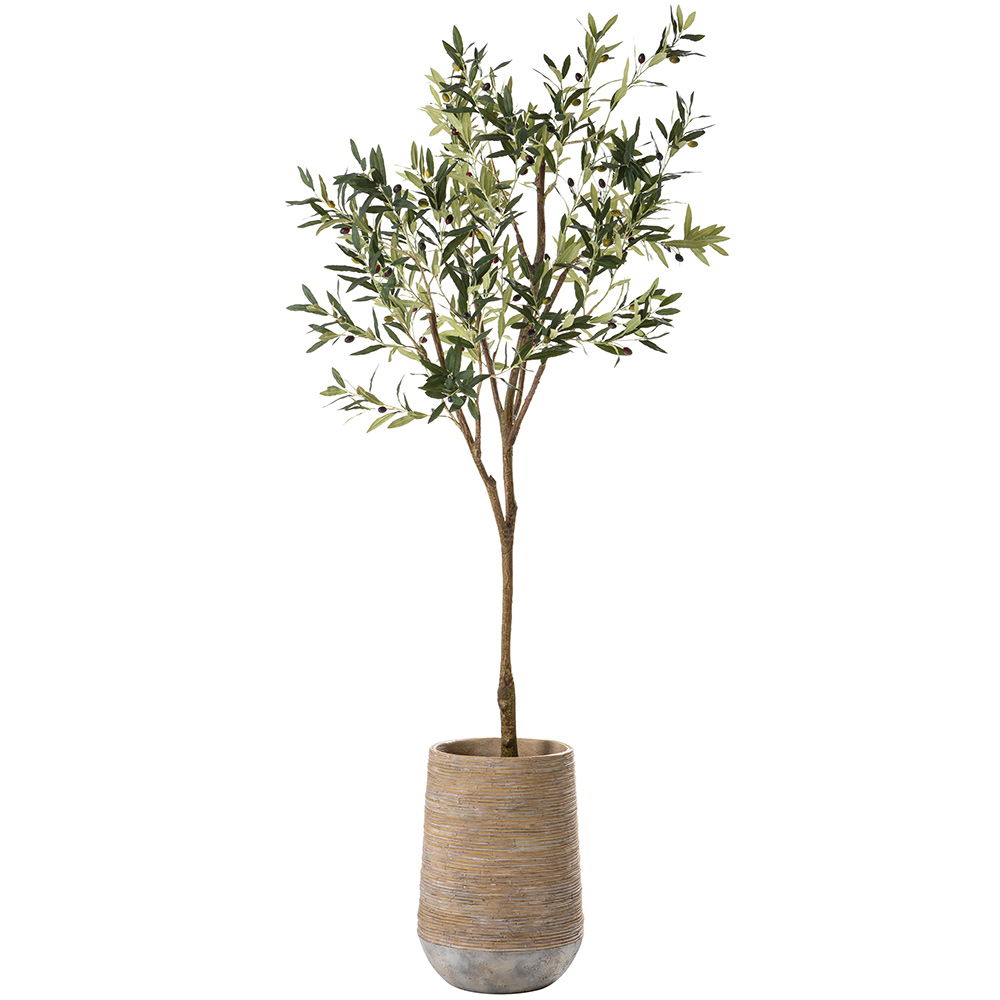 Olive Tree in Cement Planter Green