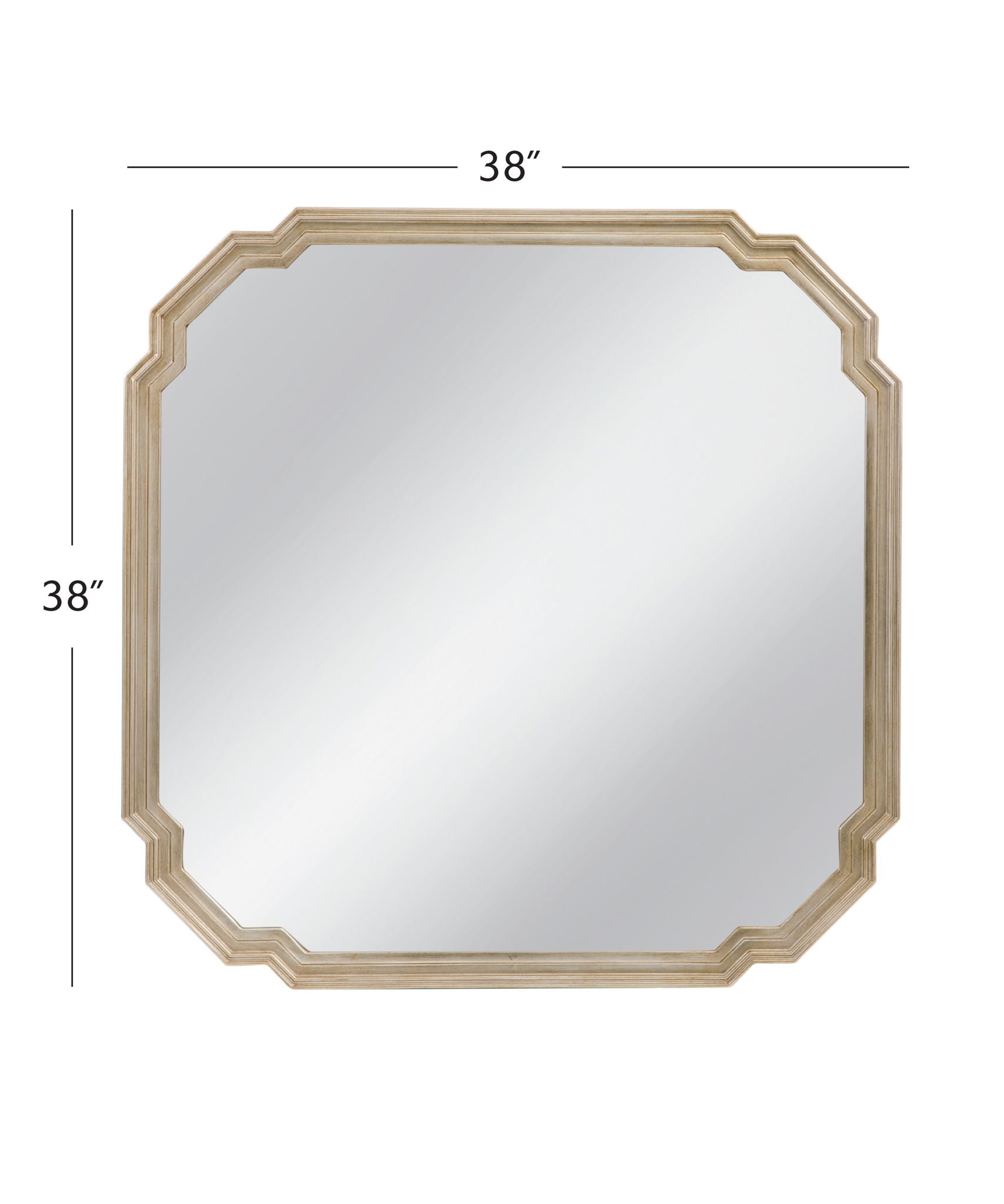 Mimosa - Wall Mirror - Ant Silver Leaf