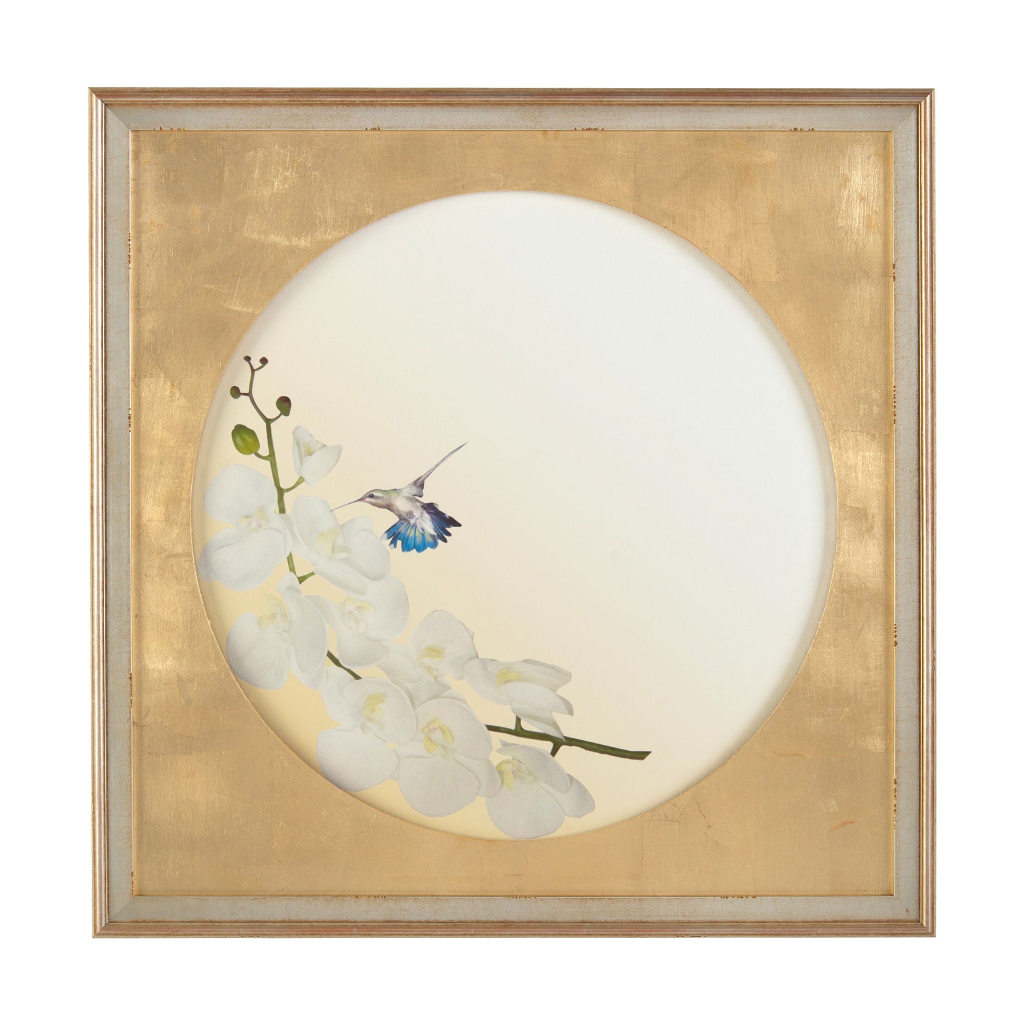 Hummingbirds in Flight I