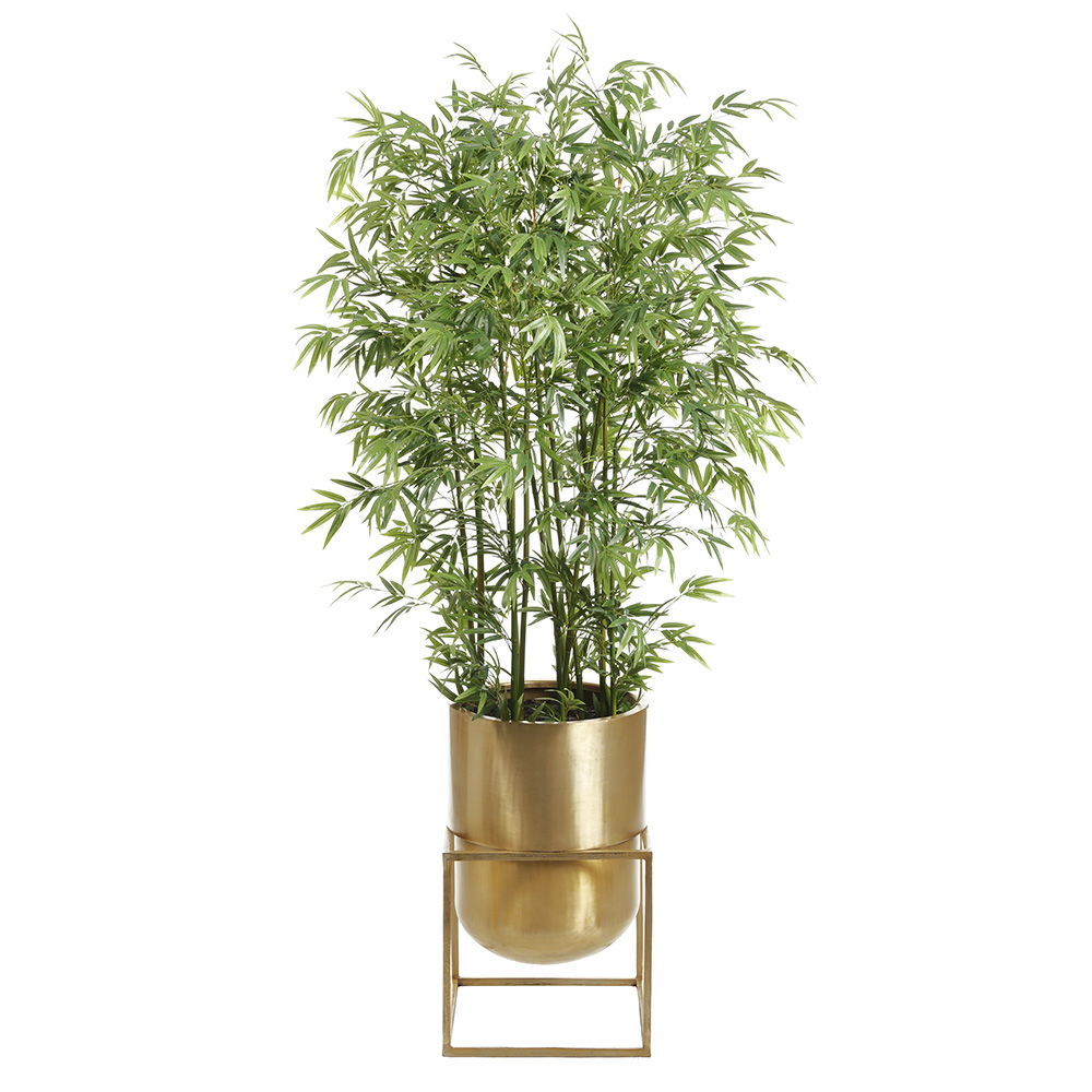 Bamboo Mini Green Stem in 26.35"hx16"wx 16"l Matte Planter With Stand