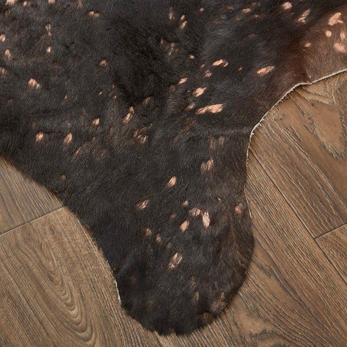 ELLYSE Collection - RAIND Copper