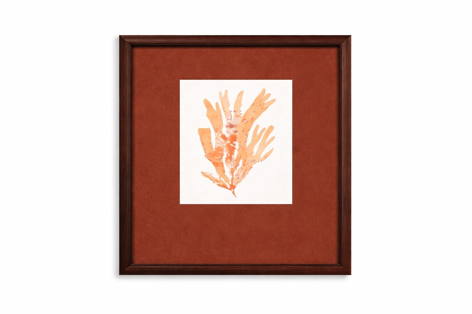 Ochre Coral Framed Print - Red