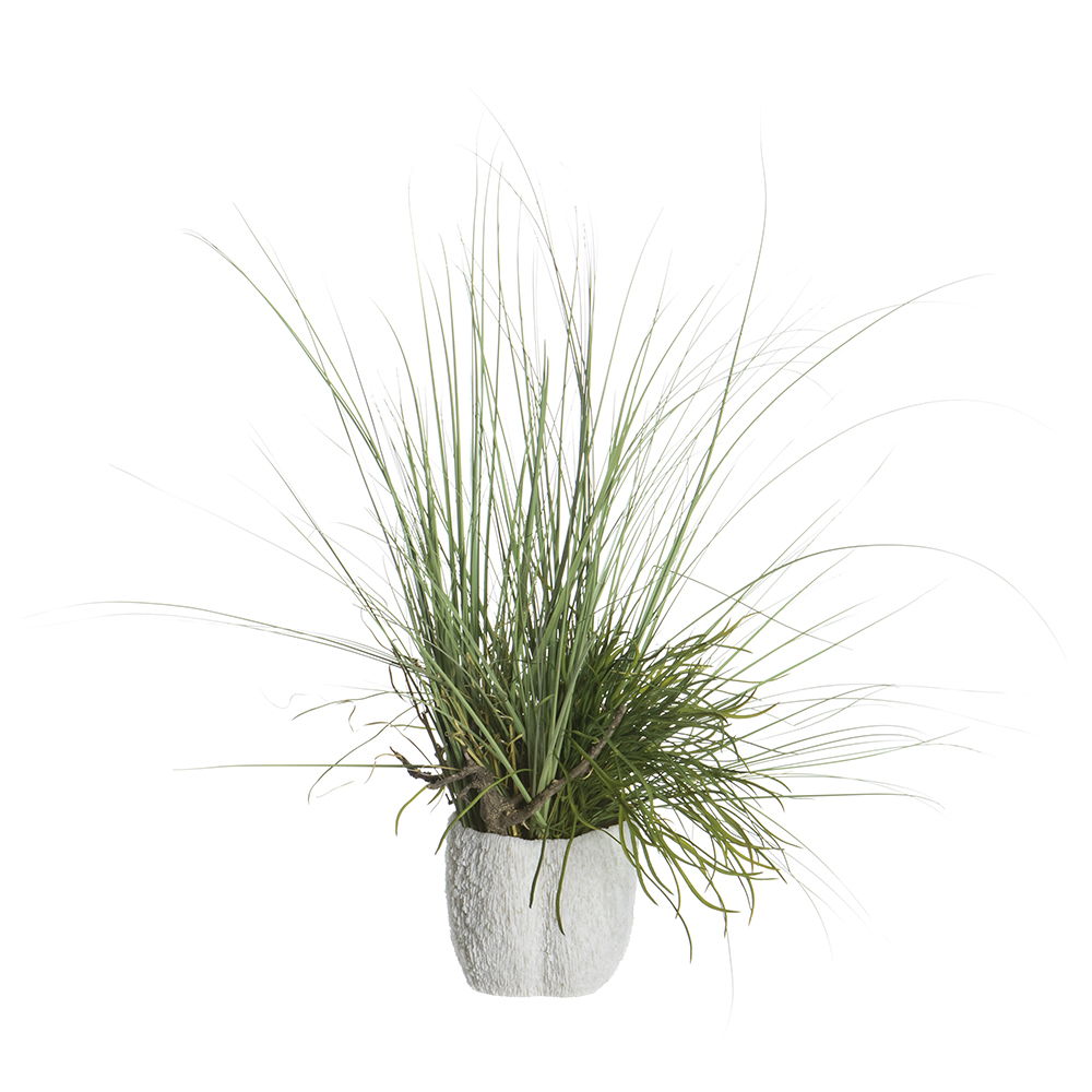 Mixed Grass/Driftwood in Coral Vase Green Brown