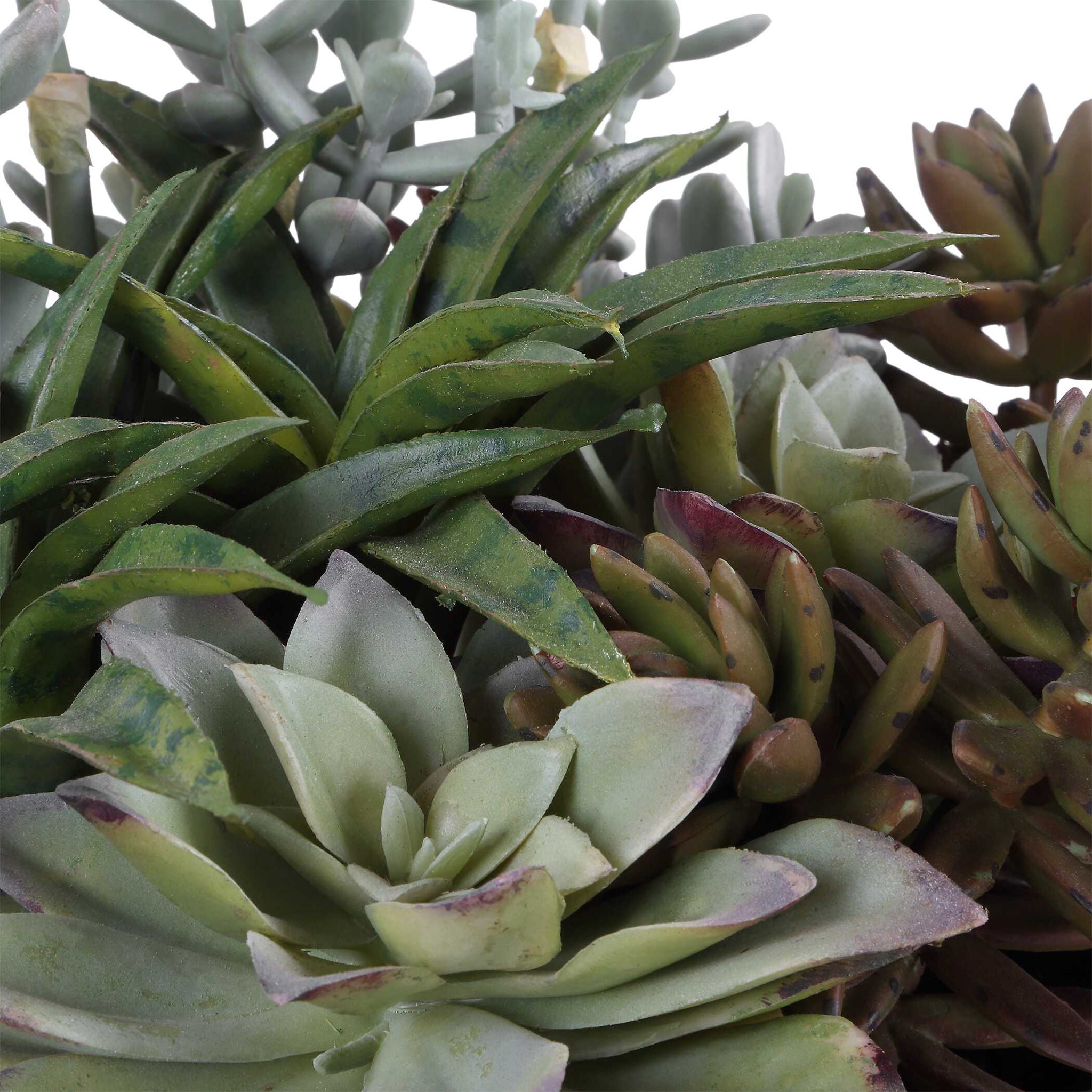 Greystone - Indoor-Outdoor Succulent - Green