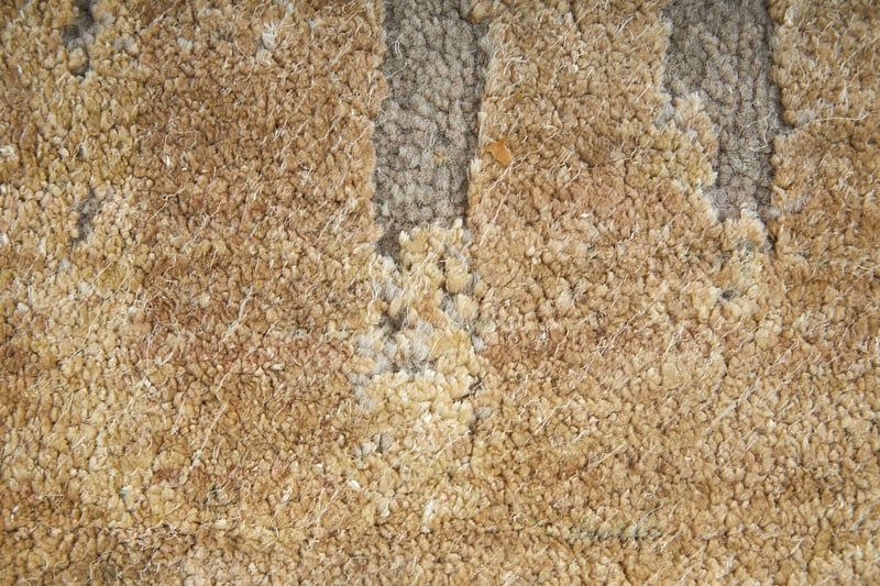 WESTON Collection - 69D3F Beige/Gold