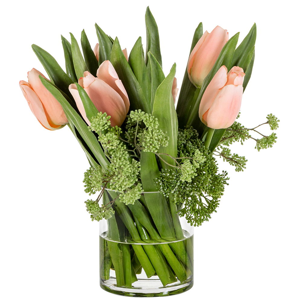 Tulip Fresh Cut in Glass Vase Peach Green