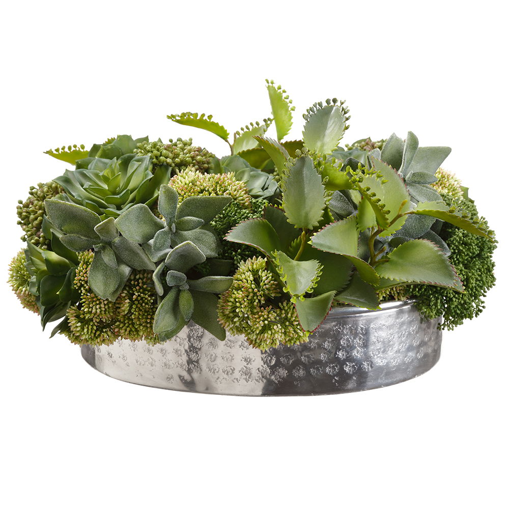 Succulent/Kalanchoe in Vase Green