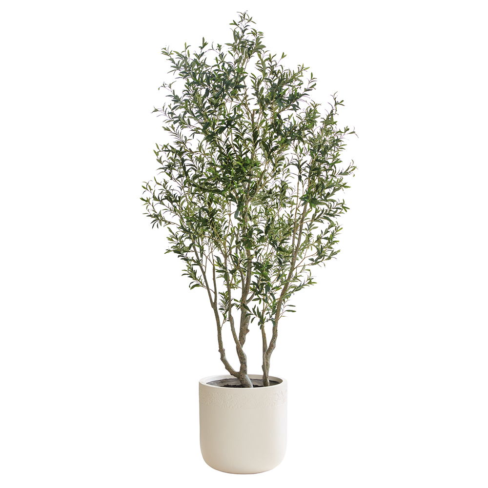Olive Tree in Fiber Clay Planter Green