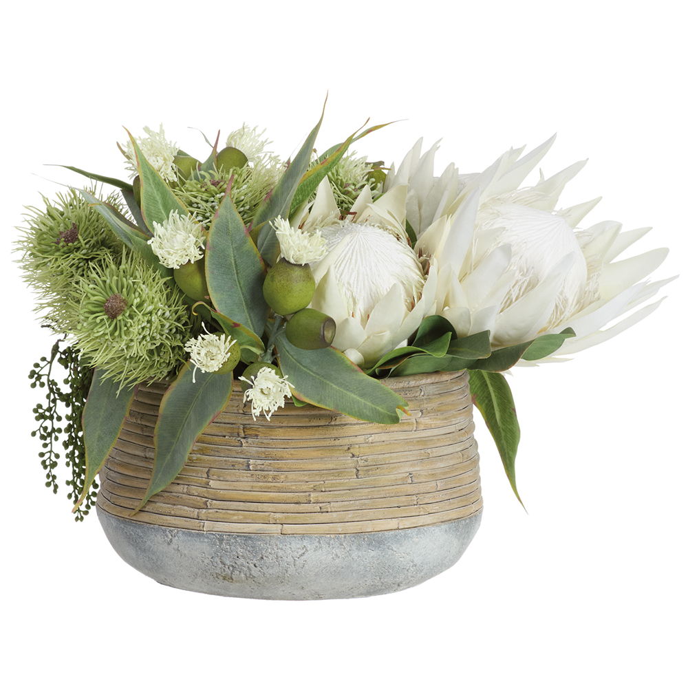 Protea/Eucalyptus in Cement Planter Cream Green