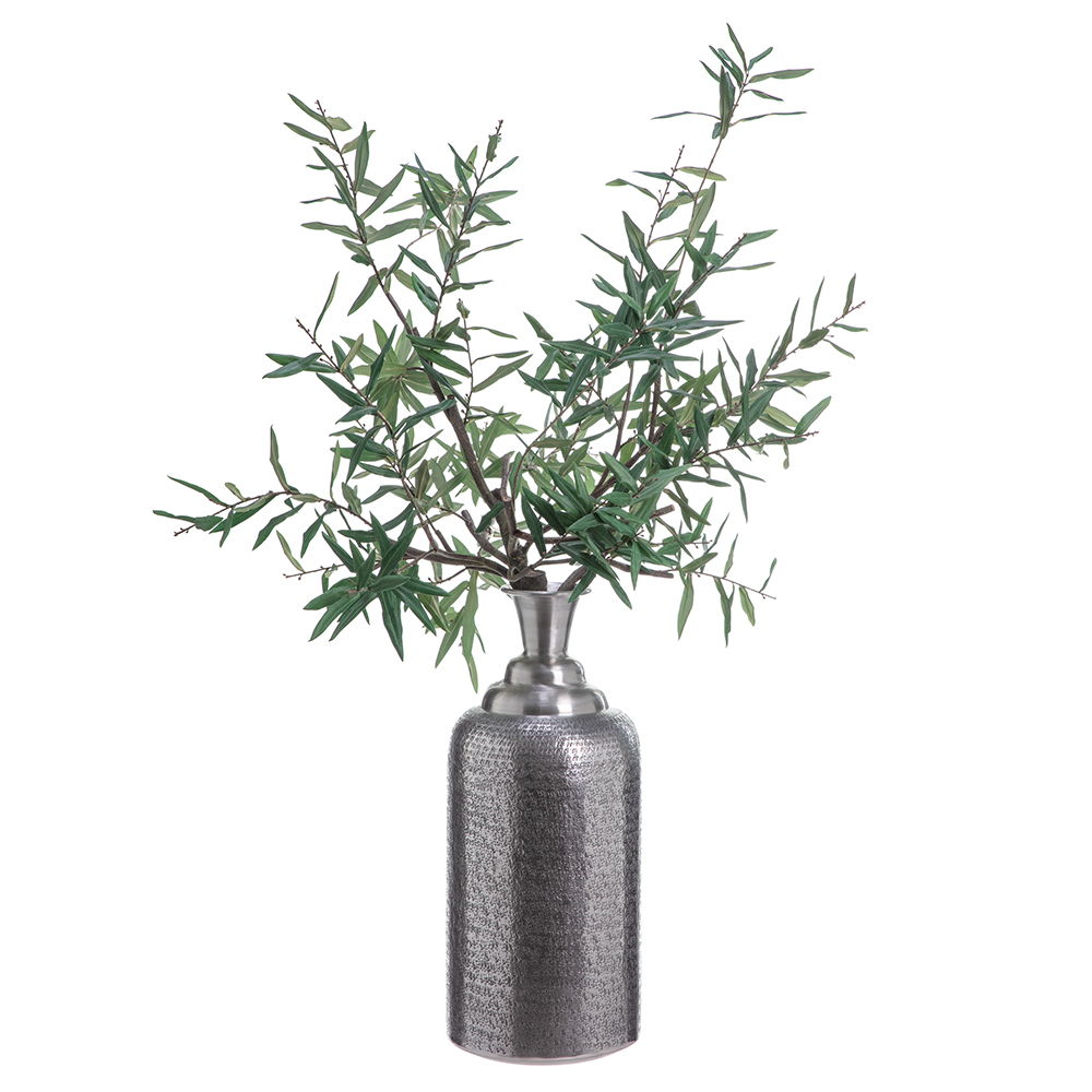Olive Branch in Silver Bottle Gr