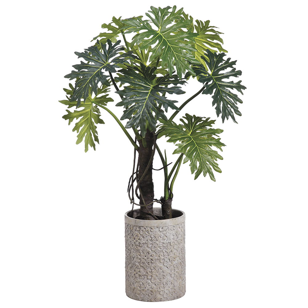 EVA Plume Split Leaf Plant in Fiber Cement Planter Green