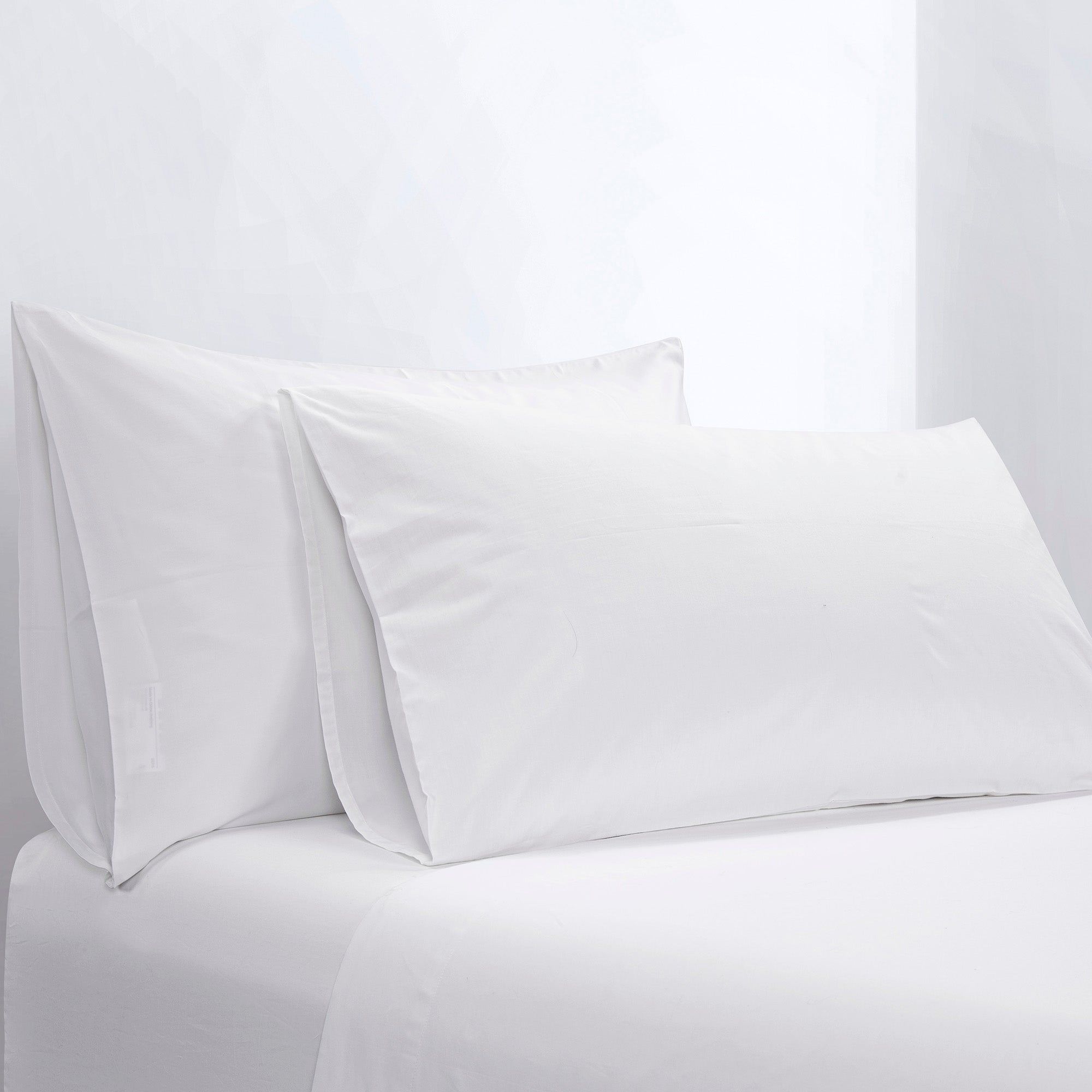 Pure - Queen 200TC Percale Flat Sheet 12/Pack, 24/Case - White