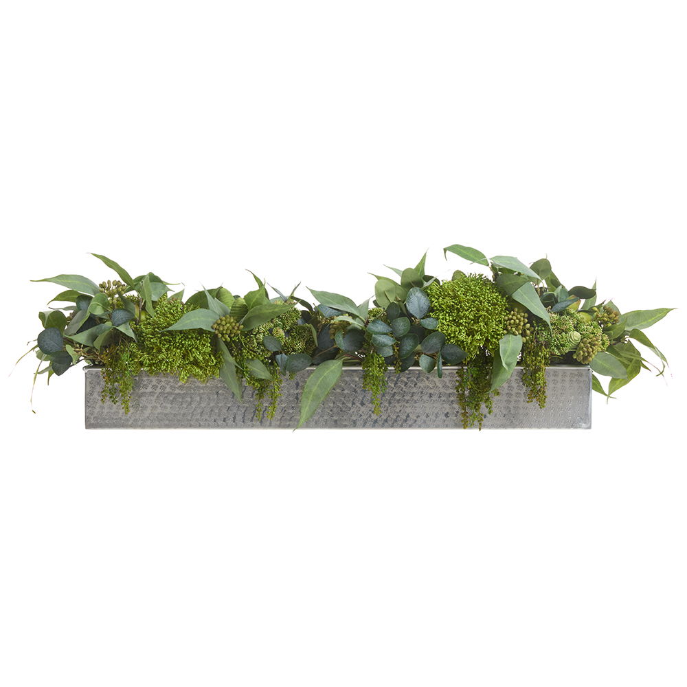 Eucalyptus/Sedum Arrangement in Long Metal Planter Green Two Tone