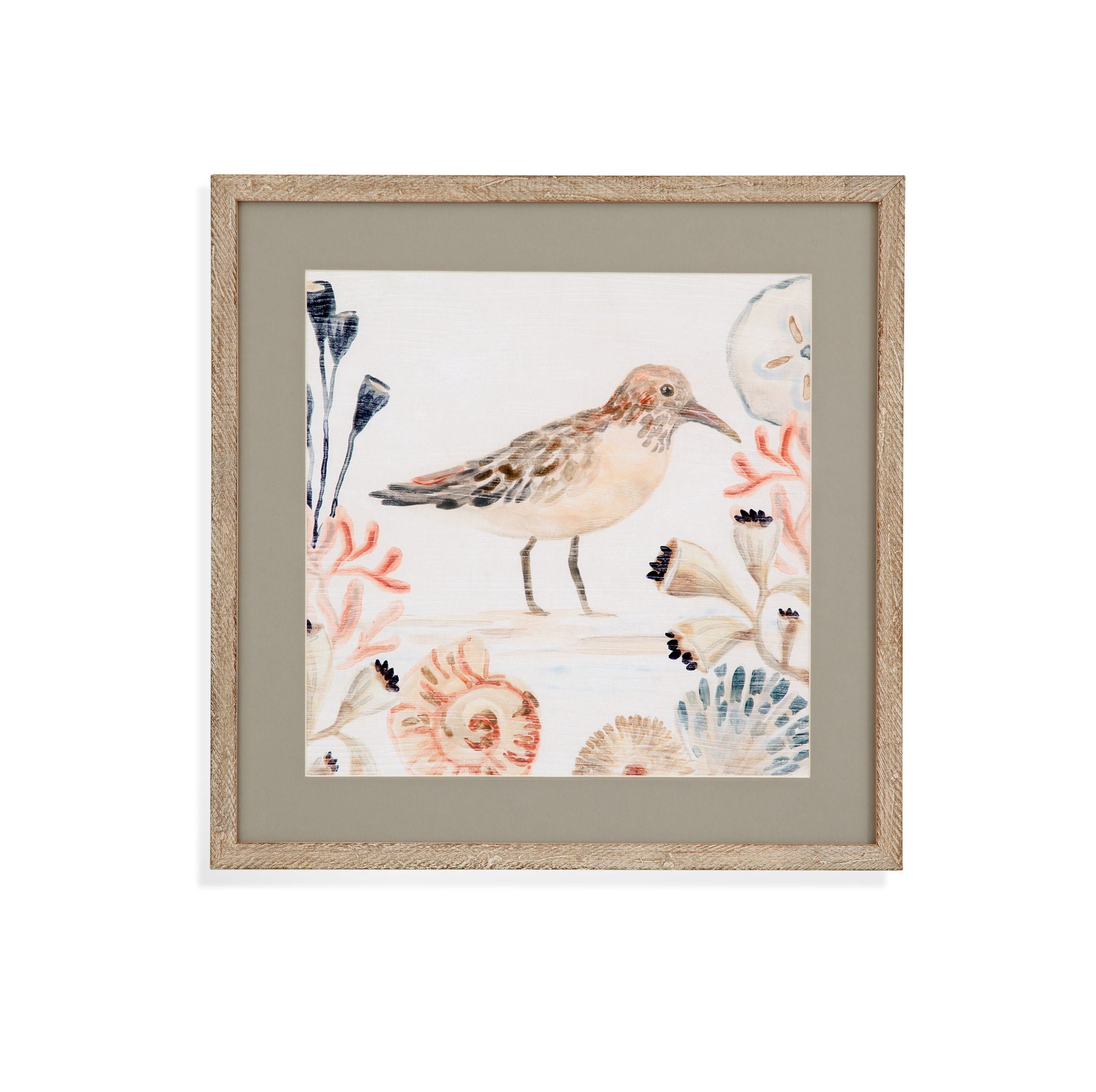Shell Peppers III Framed Print - White