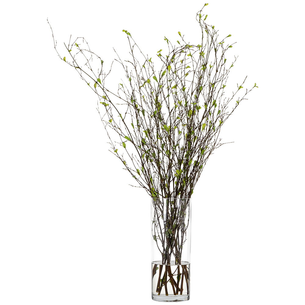 Mini Leaves on Twig in Glass Vase Green